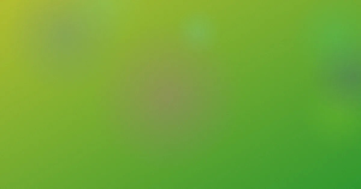 加油好男儿怎么用？实测资料整理法